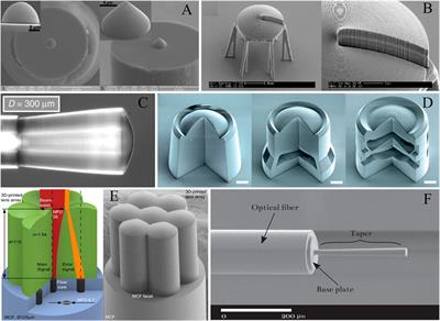 Optical Fiber Integrated Functional Micro-/Nanostructure Induced by Two-Photon Polymerization
